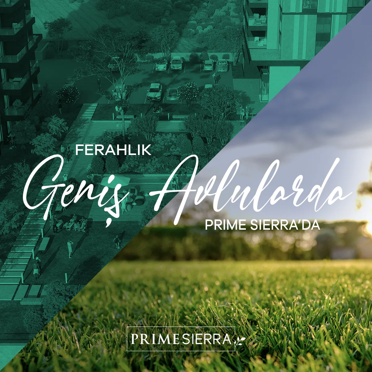 Prime Sierra · 8